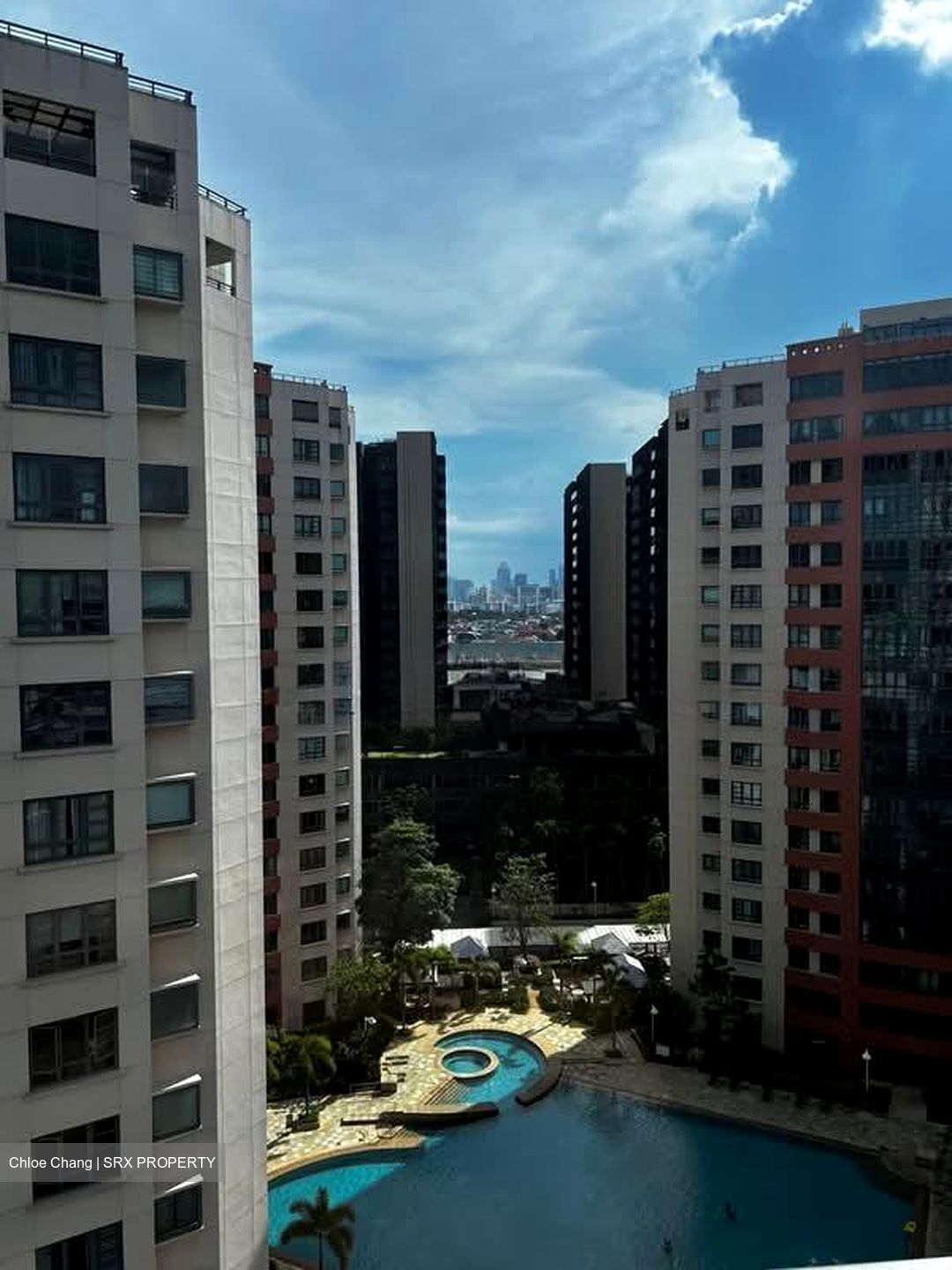 Haig 162 (D15), Apartment #559478511